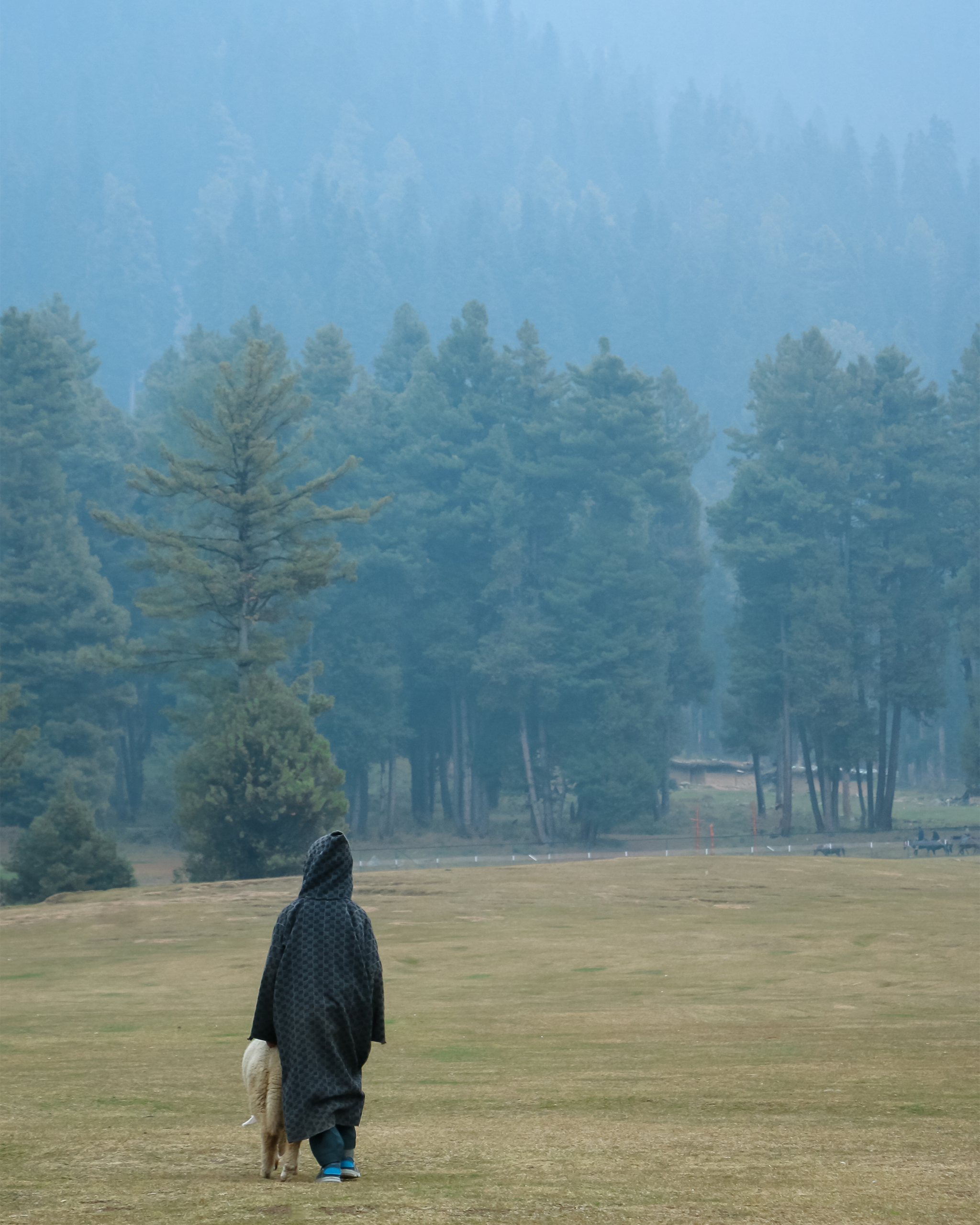 Kashmir